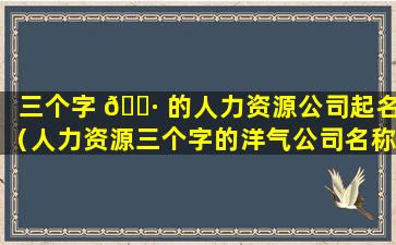 三个字 🕷 的人力资源公司起名（人力资源三个字的洋气公司名称）